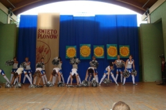 196213_b_dozynki_2010_103