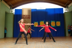 196219_b_dozynki_2010_109
