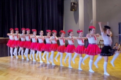 638739_dzien_kultury_67
