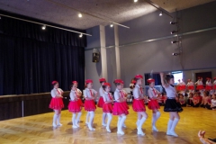 638741_dzien_kultury_71