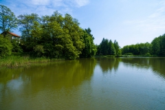 648322_06675r16