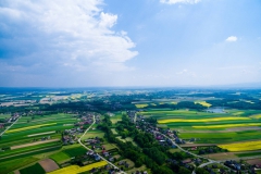 648391_06744r16