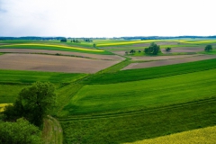 648549_06902r16