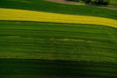 648577_06930r16